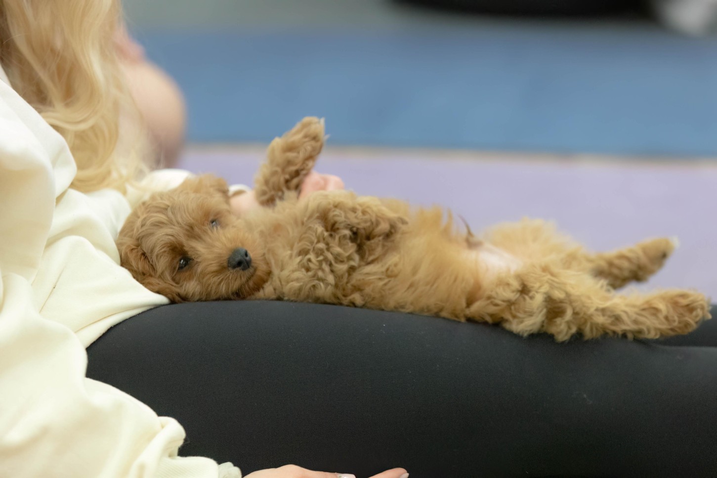 Puppy Joga dla Dwojga | Gliwice