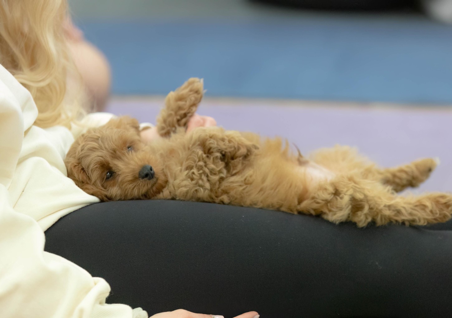 Puppy Joga dla Dwojga | Gliwice