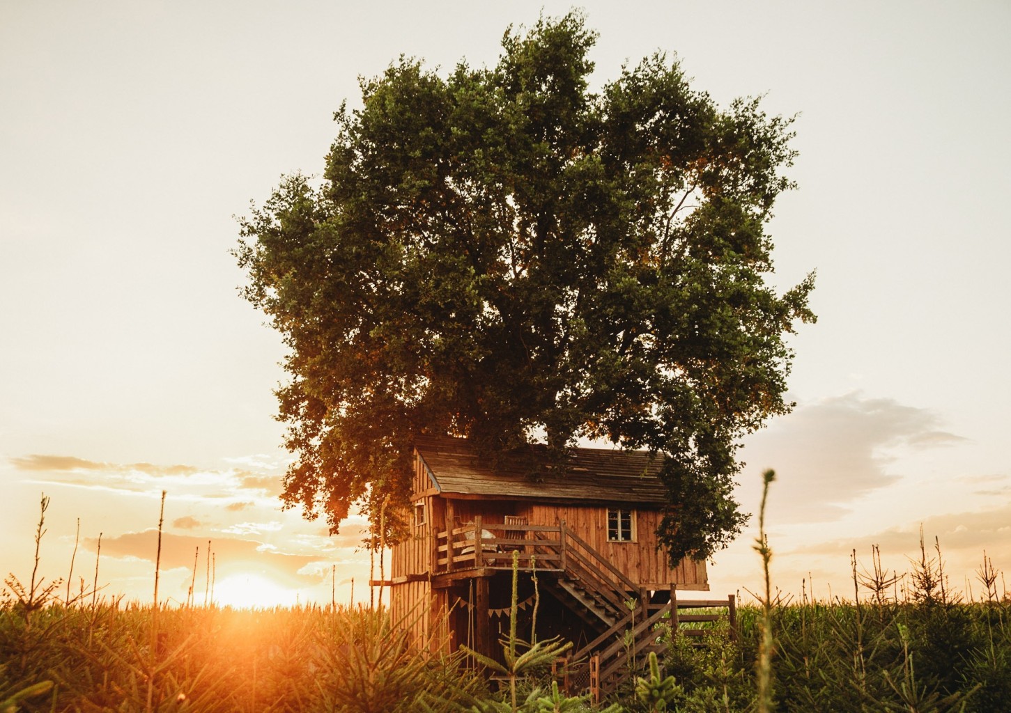 Pobyt w Domku na Drzewie (1 Noc, 2 Osoby) | Skansen Bicz Family & SPA | Bicz