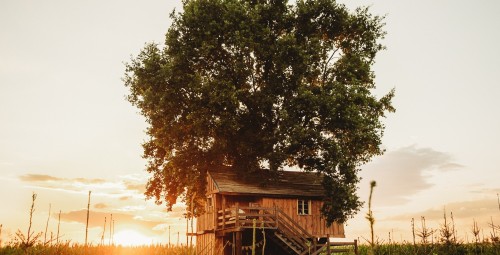 Pobyt w Domku na Drzewie (1 Noc, 2 Osoby) | Skansen Bicz Family & SPA | Stare Miasto-Prezent dla Przyjaciół_P