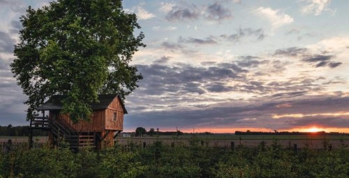 Pobyt w Domku na Drzewie (1 Noc, 2 Osoby) | Skansen Bicz Family & SPA | Stare Miasto-Prezent dla Znajomych_P