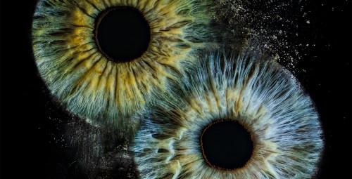 Artstyczne Zdjęcie Tęczówek Oczu dla Dwojga – Format A3 | Warszawa | Prezent dla Pary_P