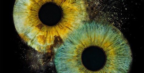 Artystyczne Zdjęcie Tęczówek Oczu dla Dwojga – Format A3 | Warszawa | Prezent na Święta_P