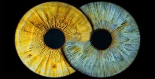 Artystyczne Zdjęcie Tęczówek Oczu dla Dwojga – Format A2 | Warszawa | Prezent na Rocznicę_P