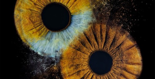 Artystyczne Zdjęcie Tęczówek Oczu dla Dwojga – Format A2 | Warszawa | Prezent na Walentynki_P