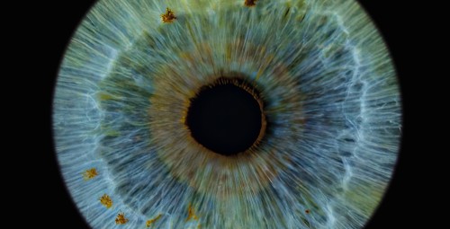 Artystyczne Zdjęcie Tęczówki Oka – Format 30x30 cm | Warszawa-Prezent dla Siostry_P