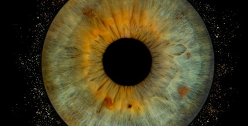 Zdjęcie Tęczówki Oka – Średni Format | Warszawa | Prezent dla Mamy_S