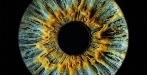 Artystyczne Zdjęcie Tęczówki Oka – Format 30x30 cm | Warszawa- Prezent dla Ukochanej_P