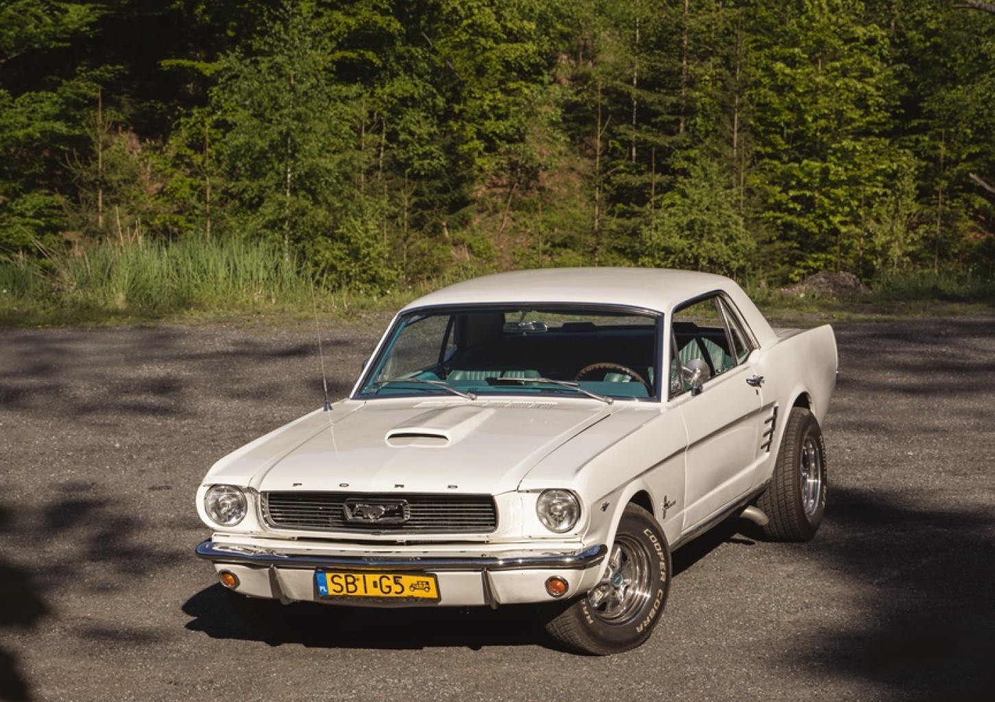 Jazda Mustangiem (60 minut) | Bielsko-Biała