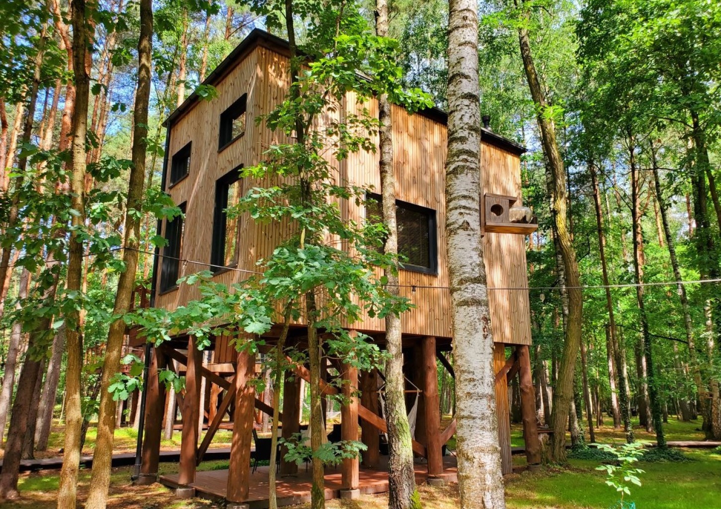 Weekendowy Pobyt w Domku na Drzewie (2 Noce, 2 Osoby) | Tree Houses Olszanka | Olszanka