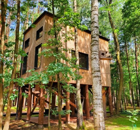 Weekendowy Pobyt w Domku na Drzewie (2 Noce, 2 Osoby) | Tree Houses Olszanka | Olszanka