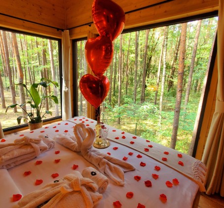 Romantyczny Pobyt w Domku na Drzewie w Tygodniu (2 Noce, 2 Osoby)  | Tree Houses Olszanka | Olszanka
