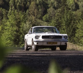 Co-Drive Mustangiem 1966 (15 minut) | Katowice | Prezent dla Męża_P