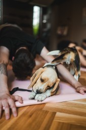 Zajęcia Fitness z Pieskami dla Dwojga | Katowice | Prezent dla Pary_P