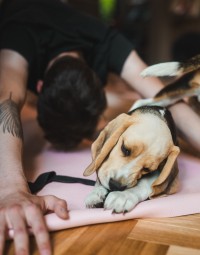 Zajęcia Fitness z Pieskami | Rzeszów | Prezent dla Przyjaciela_P