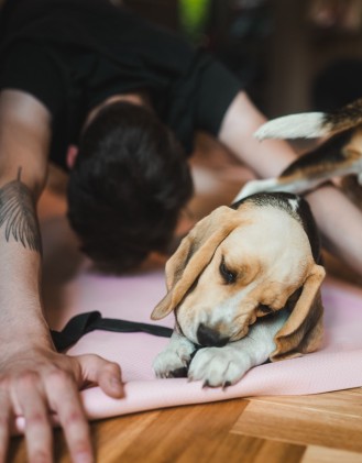 Zajęcia Fitness z Pieskami | Rzeszów 