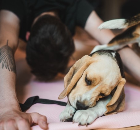Zajęcia Fitness z Pieskami (Puppy Joga lub Pilates) | Rzeszów
