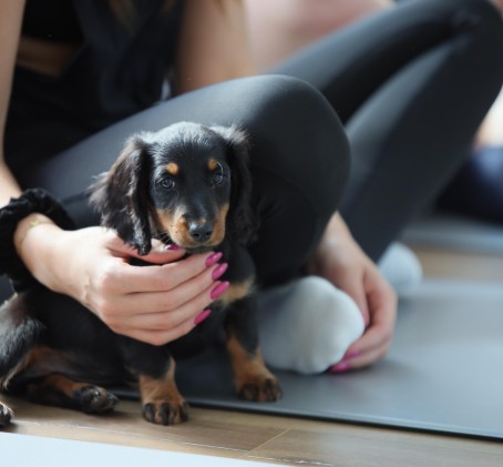 Puppy Joga | Warszawa