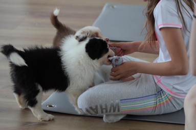 Puppy Joga | Warszawa | Prezent dla Siostry_P