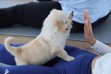 Puppy Joga dla Dwojga | Warszawa | Prezent dla Pary_P
