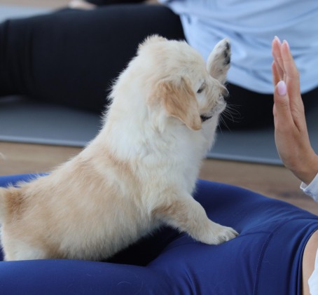 Puppy Joga dla Dwojga | Warszawa