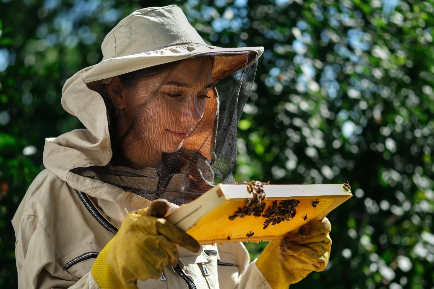Kurs “Zostań Pszczelarzem” | Pławce