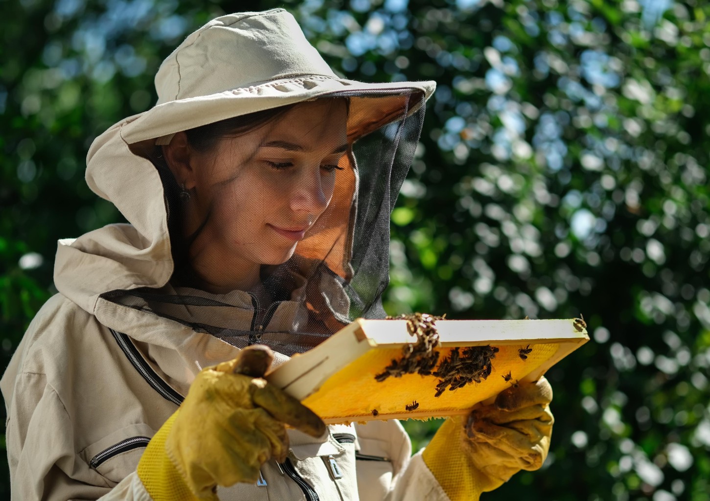 Kurs “Zostań Pszczelarzem” | Pławce
