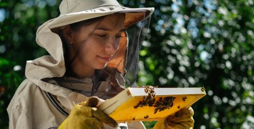 Kurs Pszczelarski | Pławce-Prezent na Urodziny_S