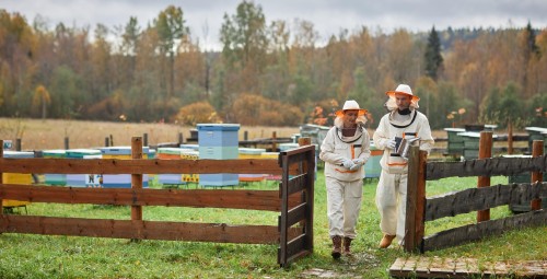 Zwiedzanie Pasieki | Pławce-Prezent dla Znajomych_S