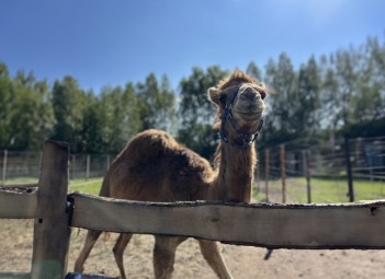 Rodzinna Przygoda w Mini Zoo | Łukawa | Prezent na Święta_P