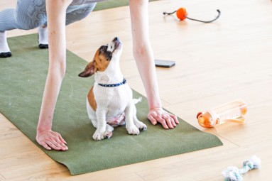 Puppy Joga | Wrocław | Prezent dla Dziewczyny_P