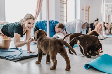 Puppy Joga | Warszawa | Prezent na Urodziny_P