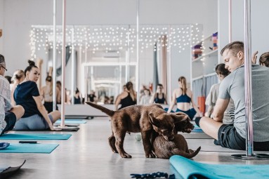 Puppy Joga | Warszawa | Prezent dla Przyjaciółki_P