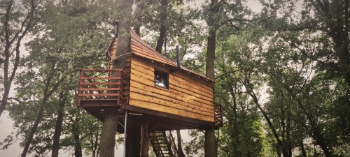 Pobyt w Domku na Drzewie w Tygodniu (1 Noc, 2 Osoby) | Golędzinów | TreeVill-Prezent dla Pary_P
