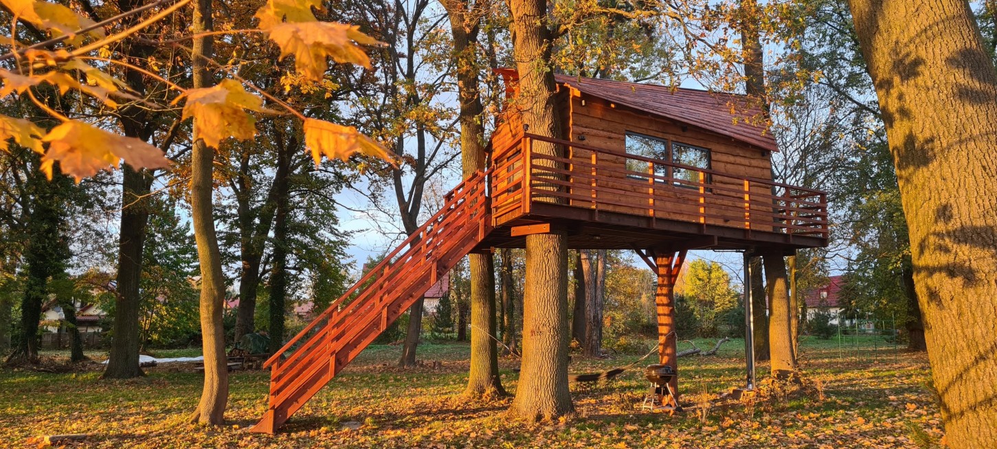 Pobyt w Domku na Drzewie (1 Noc, 2 Osoby) | TreeVill | Golędzinów