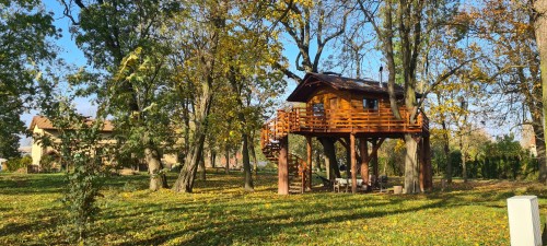 Romantyczny Pobyt w Domku na Drzewie (2 Noce, 2 Osoby) | Golędzinów | TreeVill-Prezent na Rocznicę _P