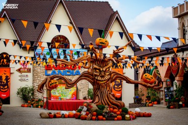 Niesamowita Przygoda dla Dwojga w Parku Rozrywki Energylandia | Zator | Prezent na Rocznicę_P