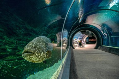 Podwodna Kolacja | Łódź-Prezent dla Przyjaciółki_P